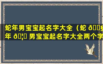 蛇年男宝宝起名字大全（蛇 🐧 年 🦟 男宝宝起名字大全两个字）